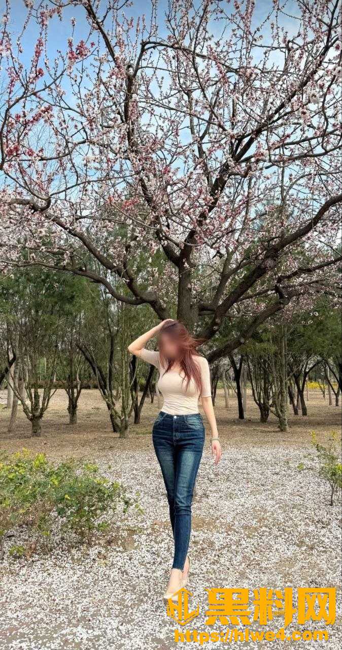 姐弟一世情106110集1