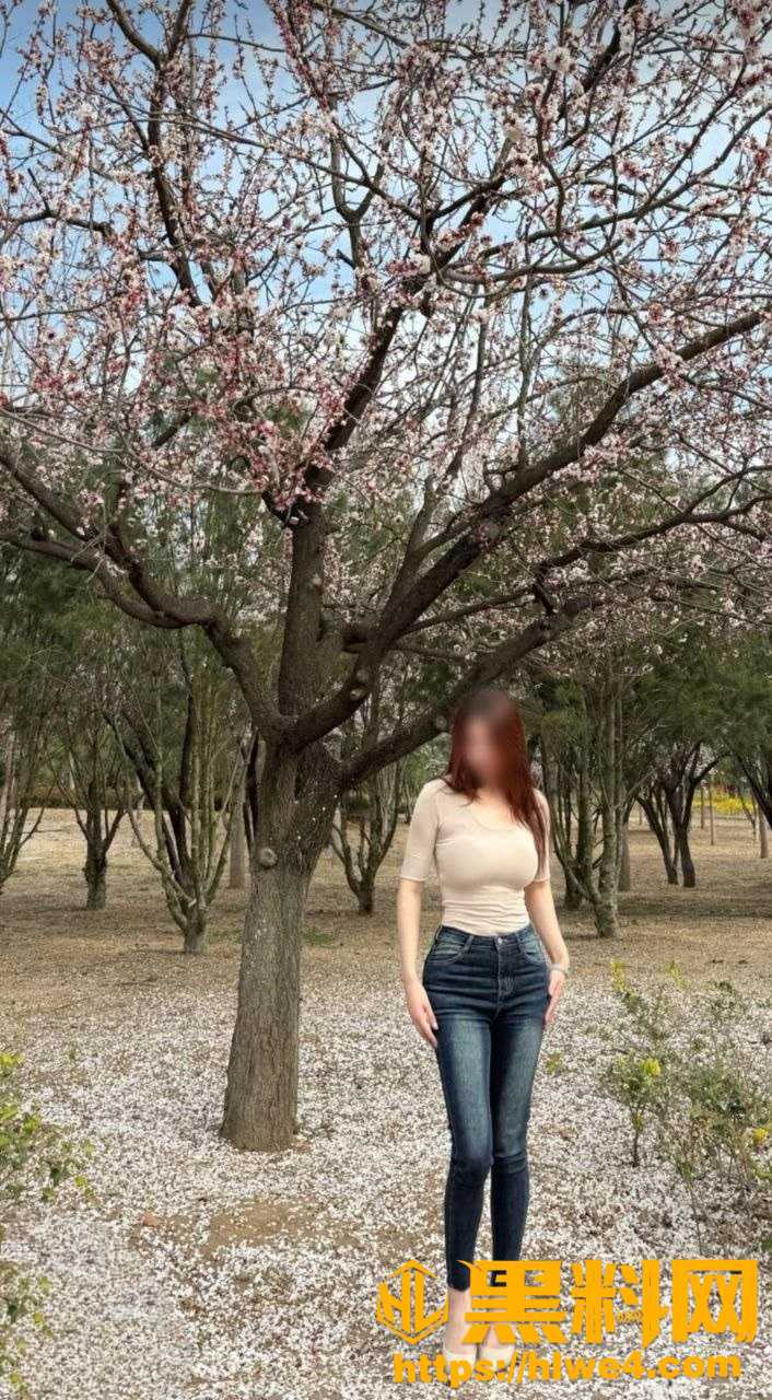 姐弟一世情106110集2