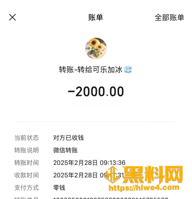 18转账记录4 4wm