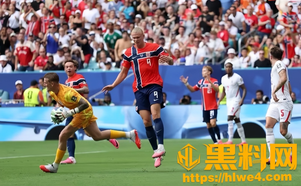 哈兰德26