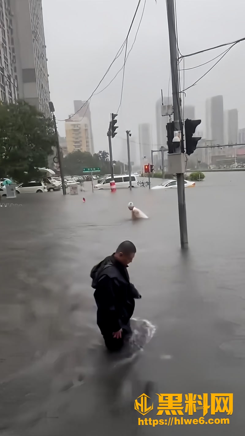 02沈阳特大暴雨触电事故1 2wm