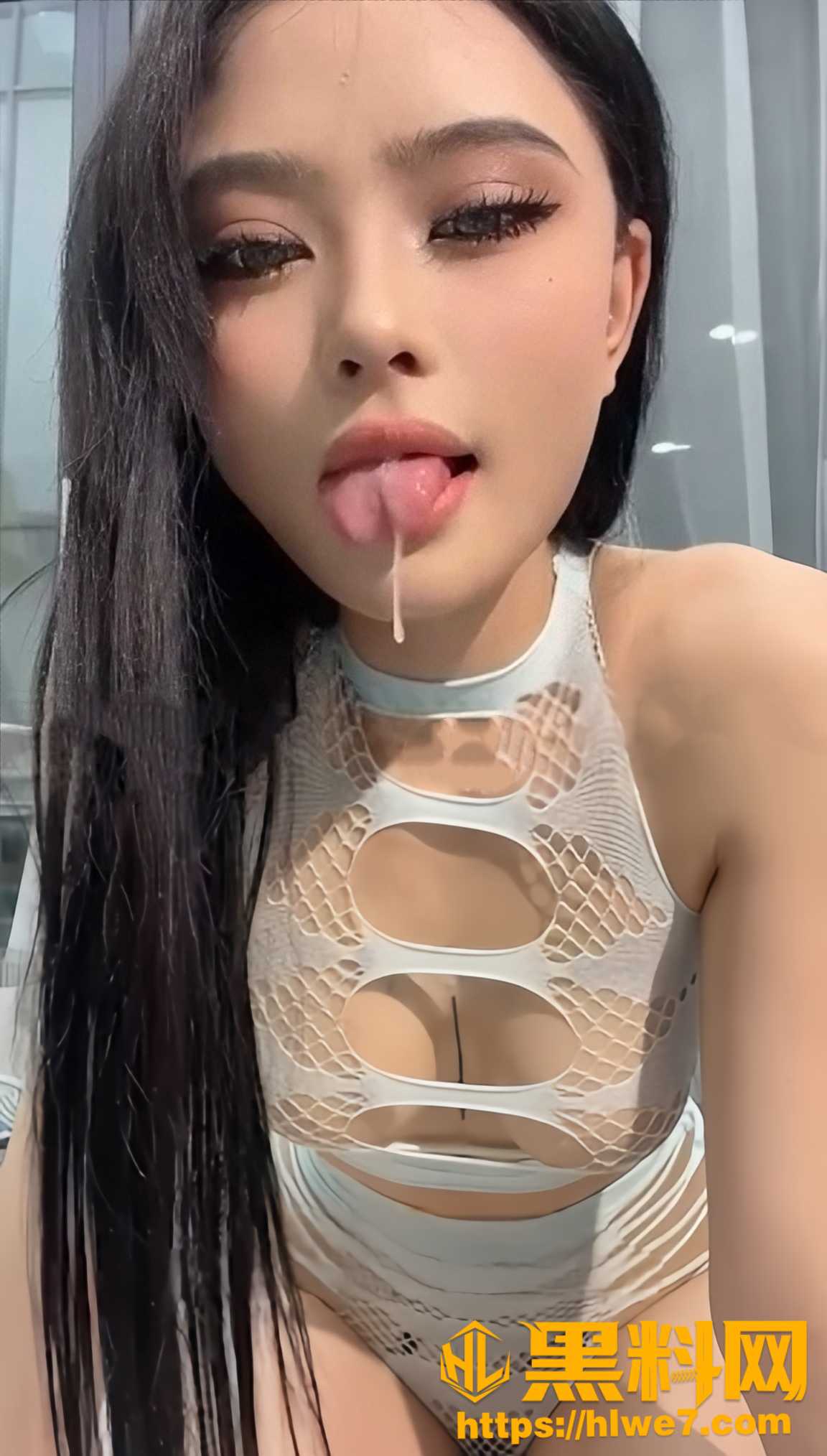 龙舌兰6