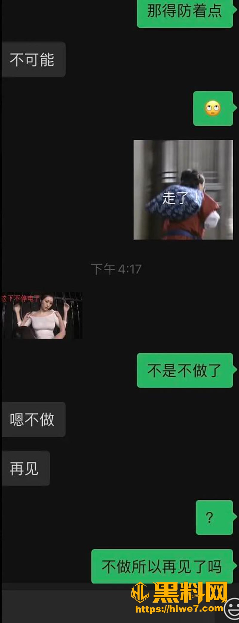 20聊条记录4 5wm