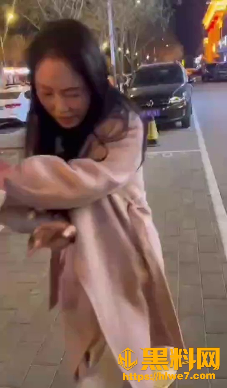 街头互殴5