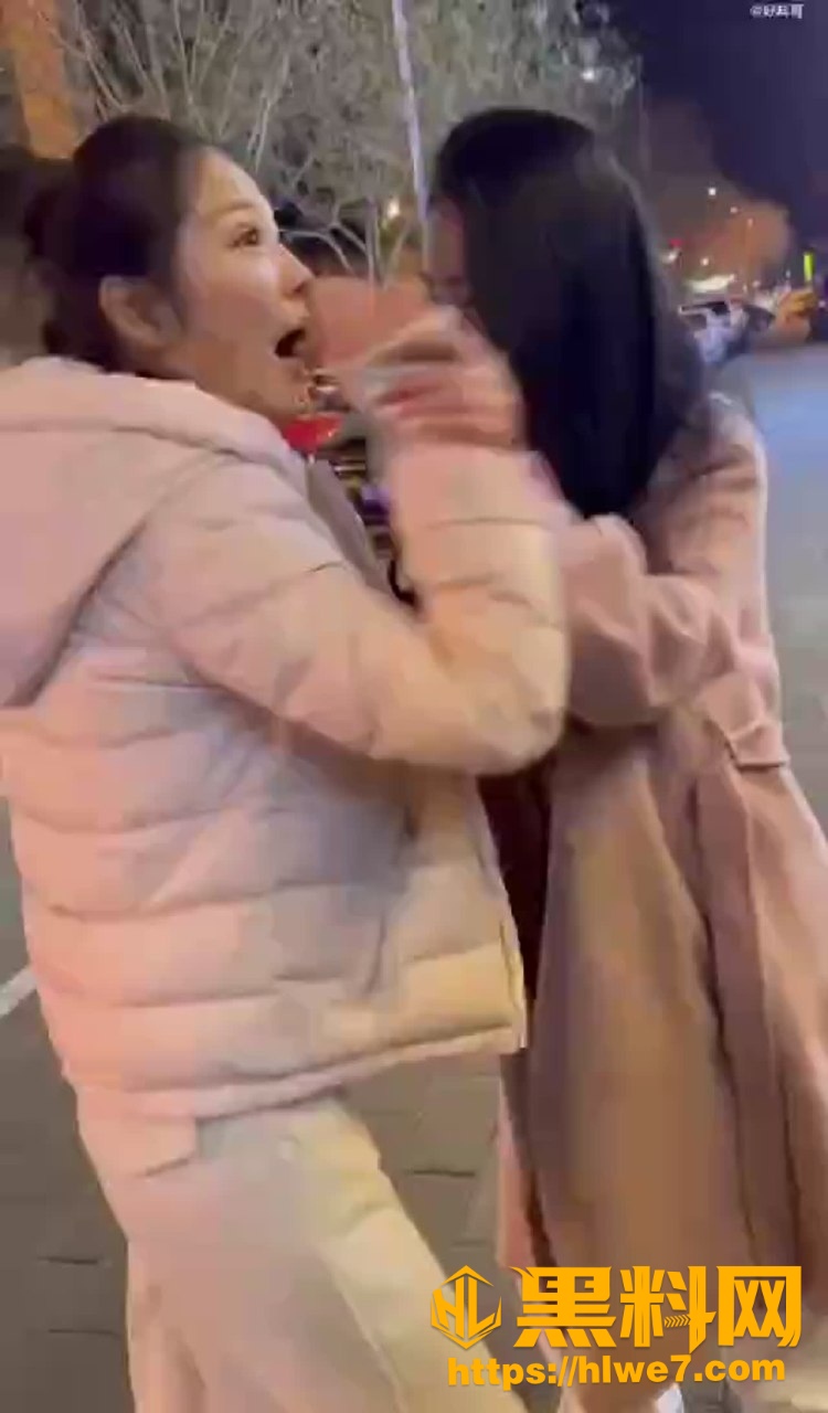 撕逼6