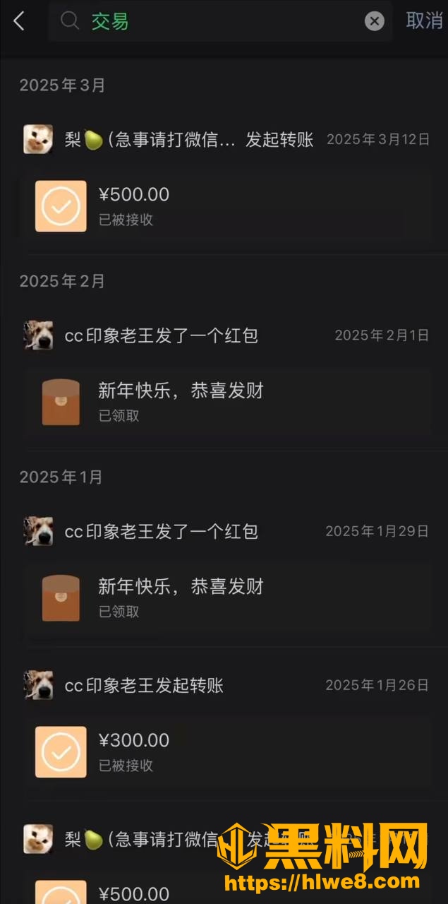 隐瞒婚姻 2