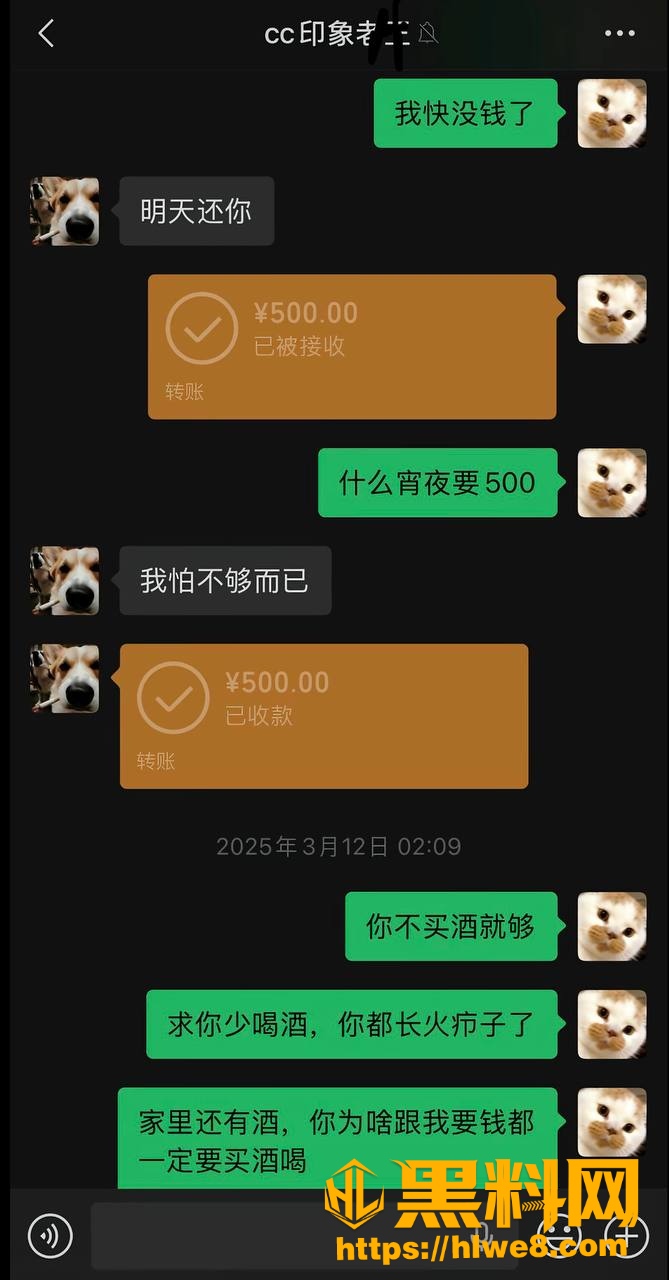 隐瞒婚姻 3