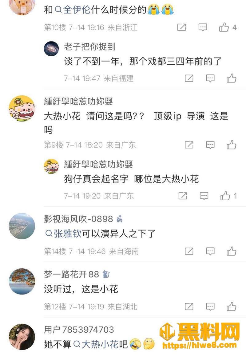 张雅钦许宏宇酒店过夜24