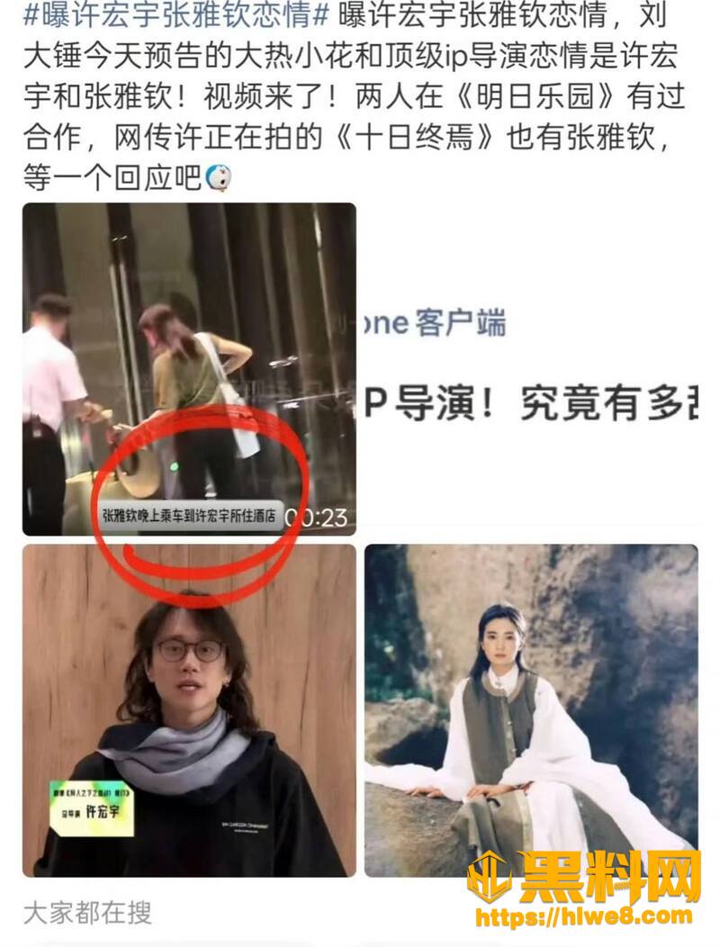张雅钦许宏宇酒店过夜26