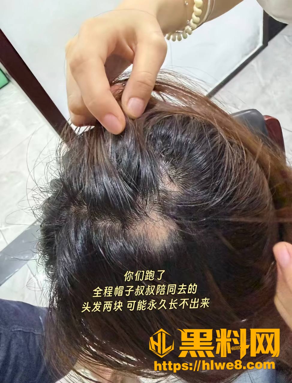 四姨太老狗 2