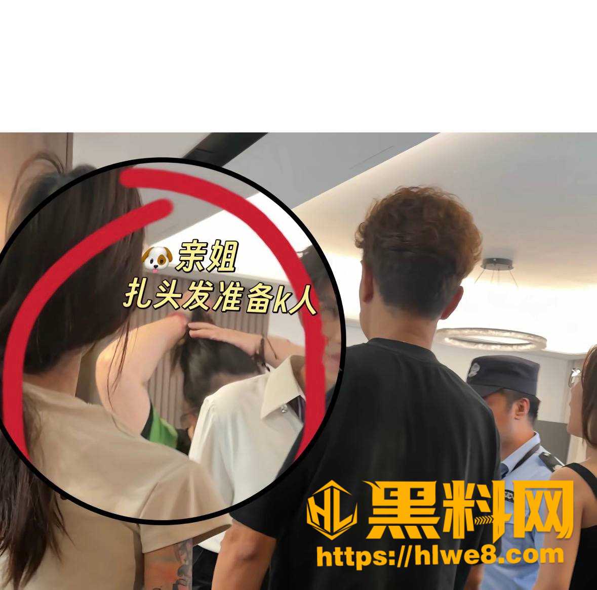 四姨太老狗 4