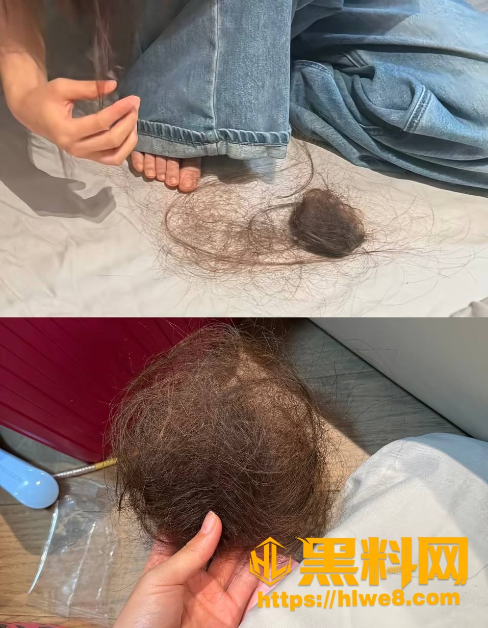 四姨太老狗 5