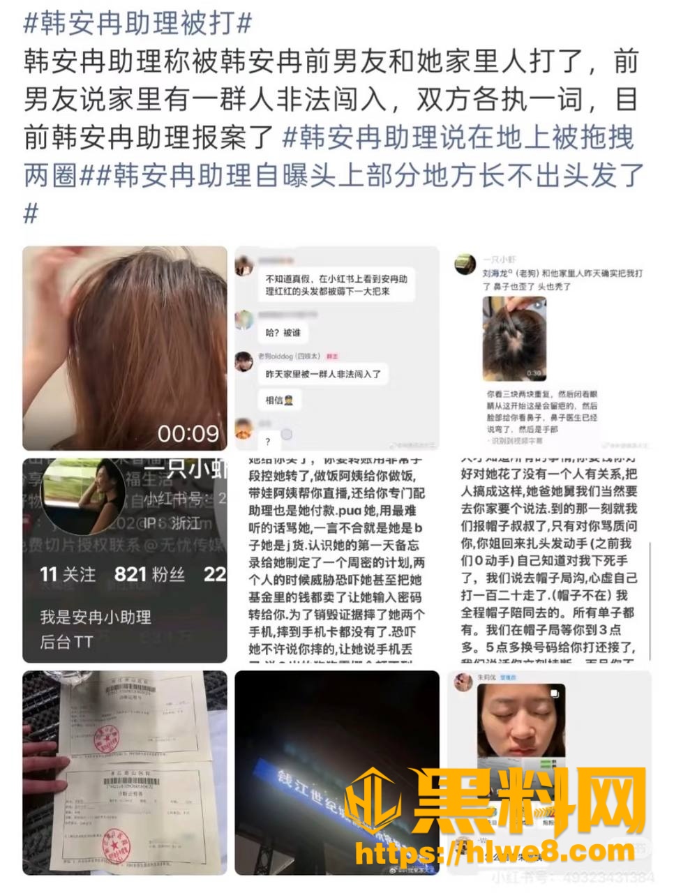 助理红红 1