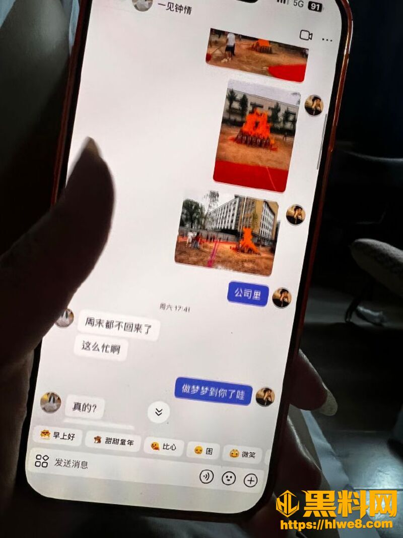 RevilllHKU伪装单身约炮11
