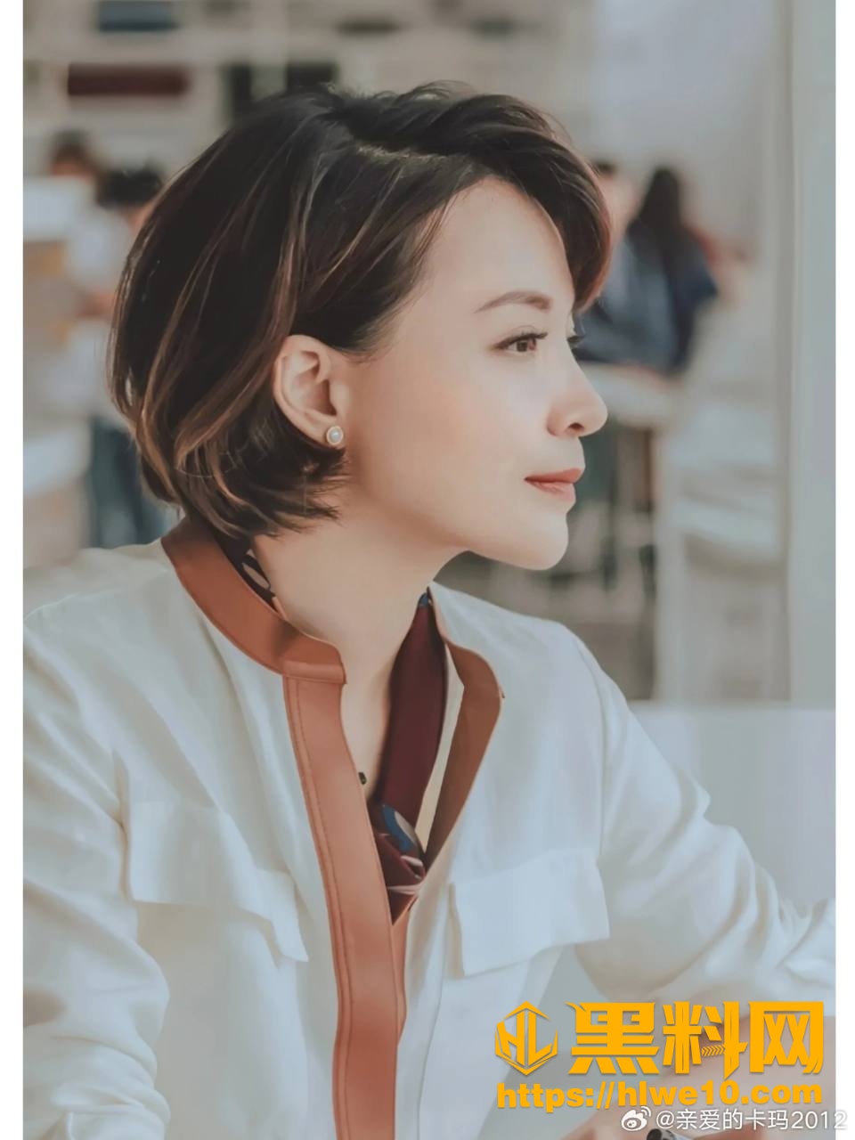 董卿赴美生子