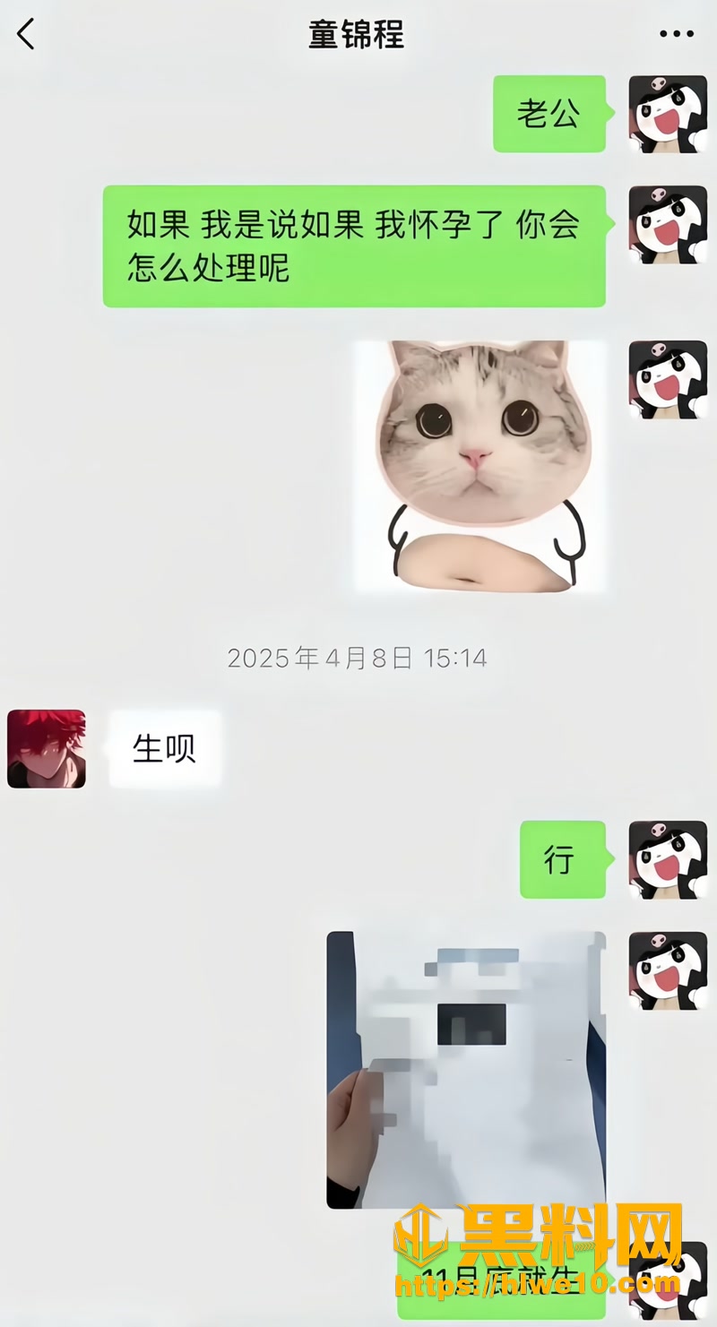 52聊条记录5 6wm