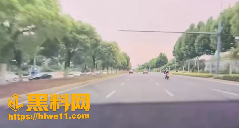 颠倒黑白