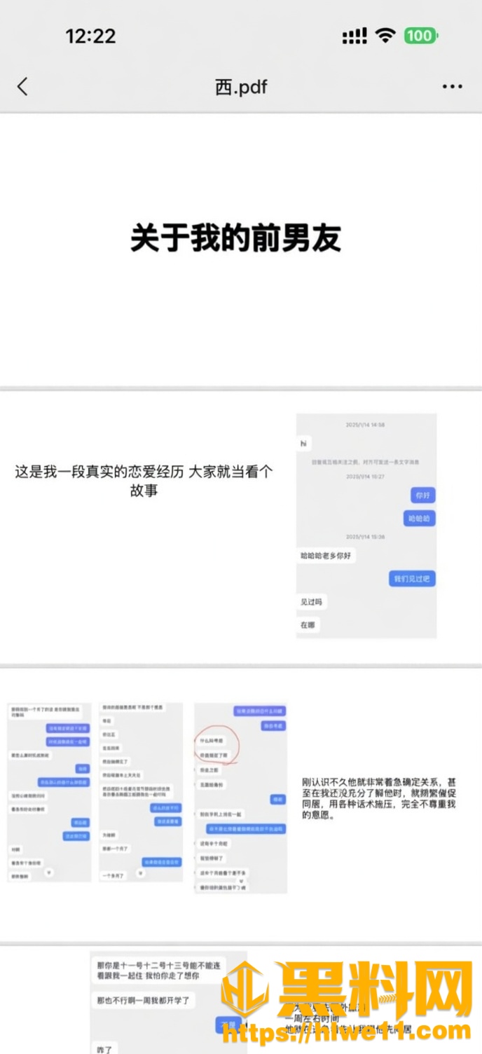 高佳琳不雅视频12