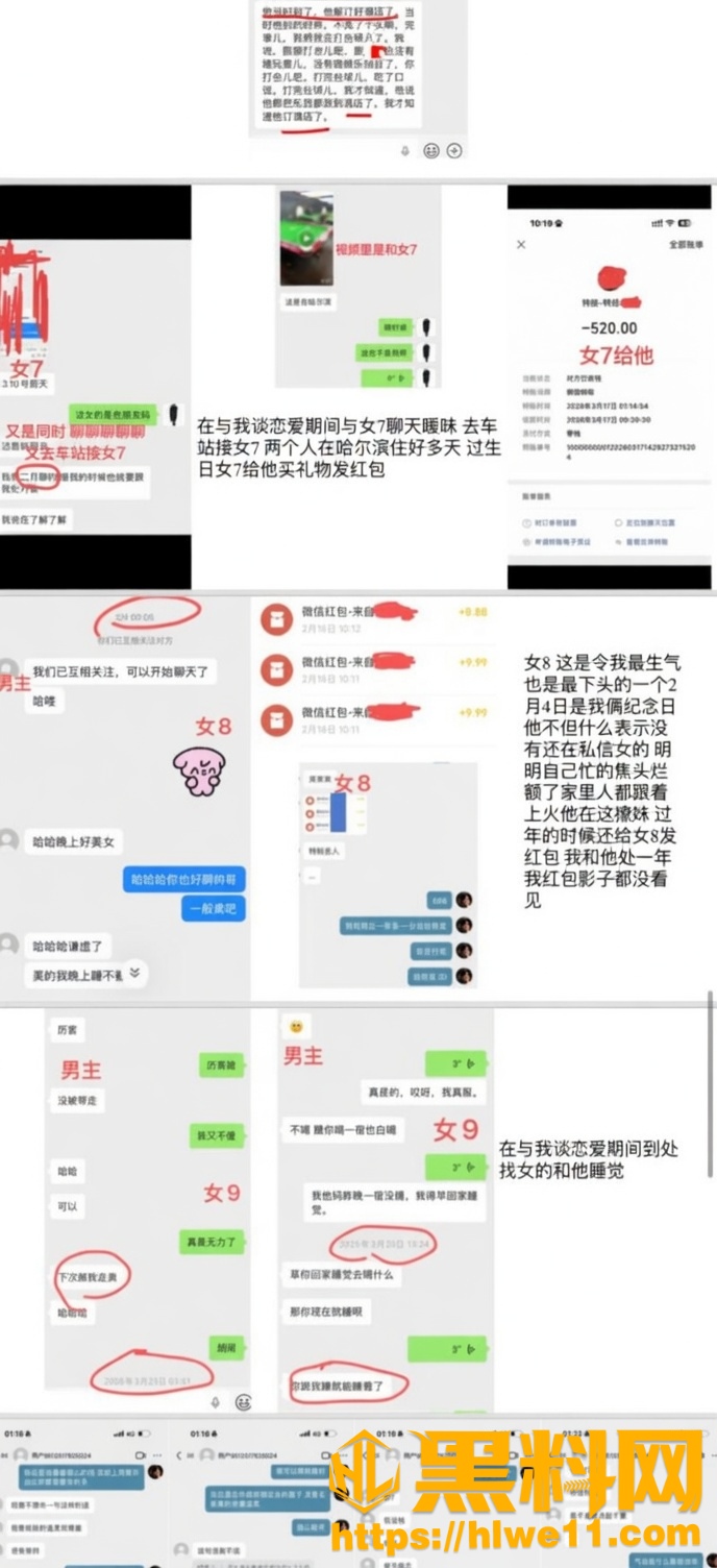 高佳琳不雅视频19