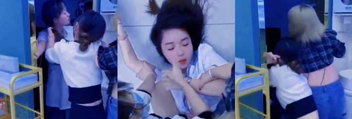 下载