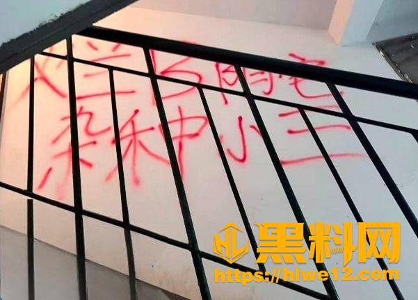 乐陵网传持刀伤人事件