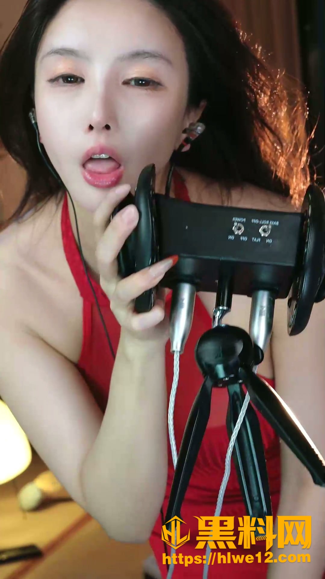 声控主播大艺术嘉