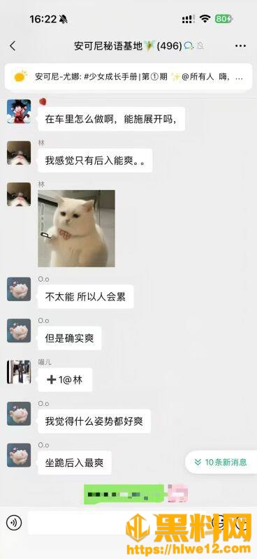 极品御姐车震视频3