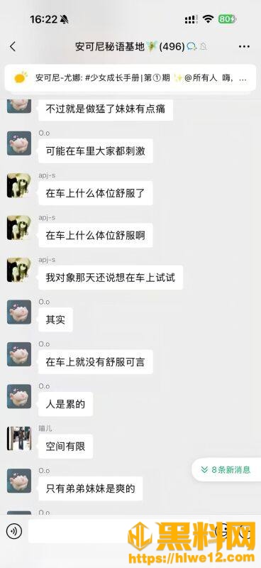 极品御姐车震视频2