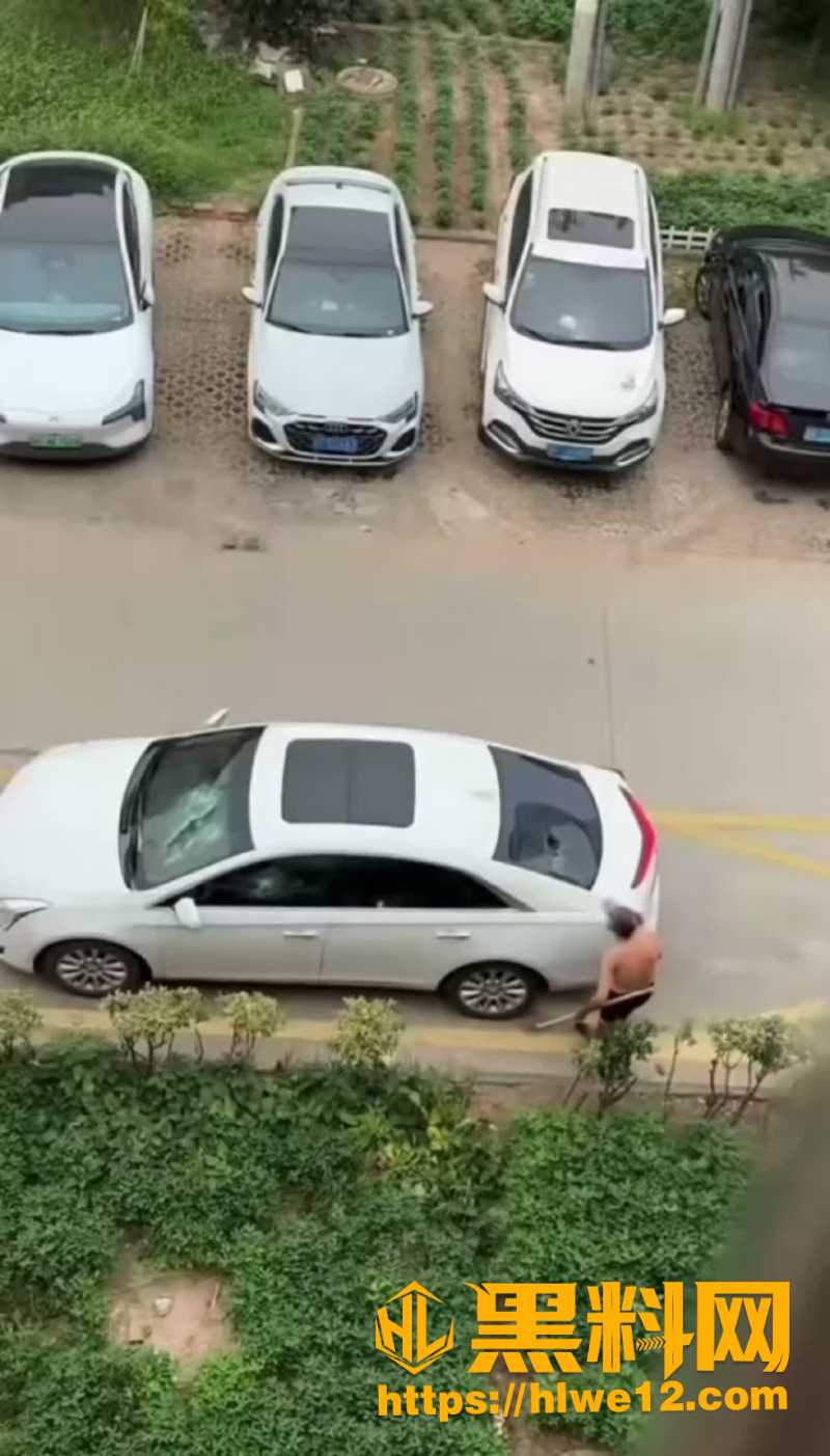 大爷铁棍猛砸白色轿车视频1