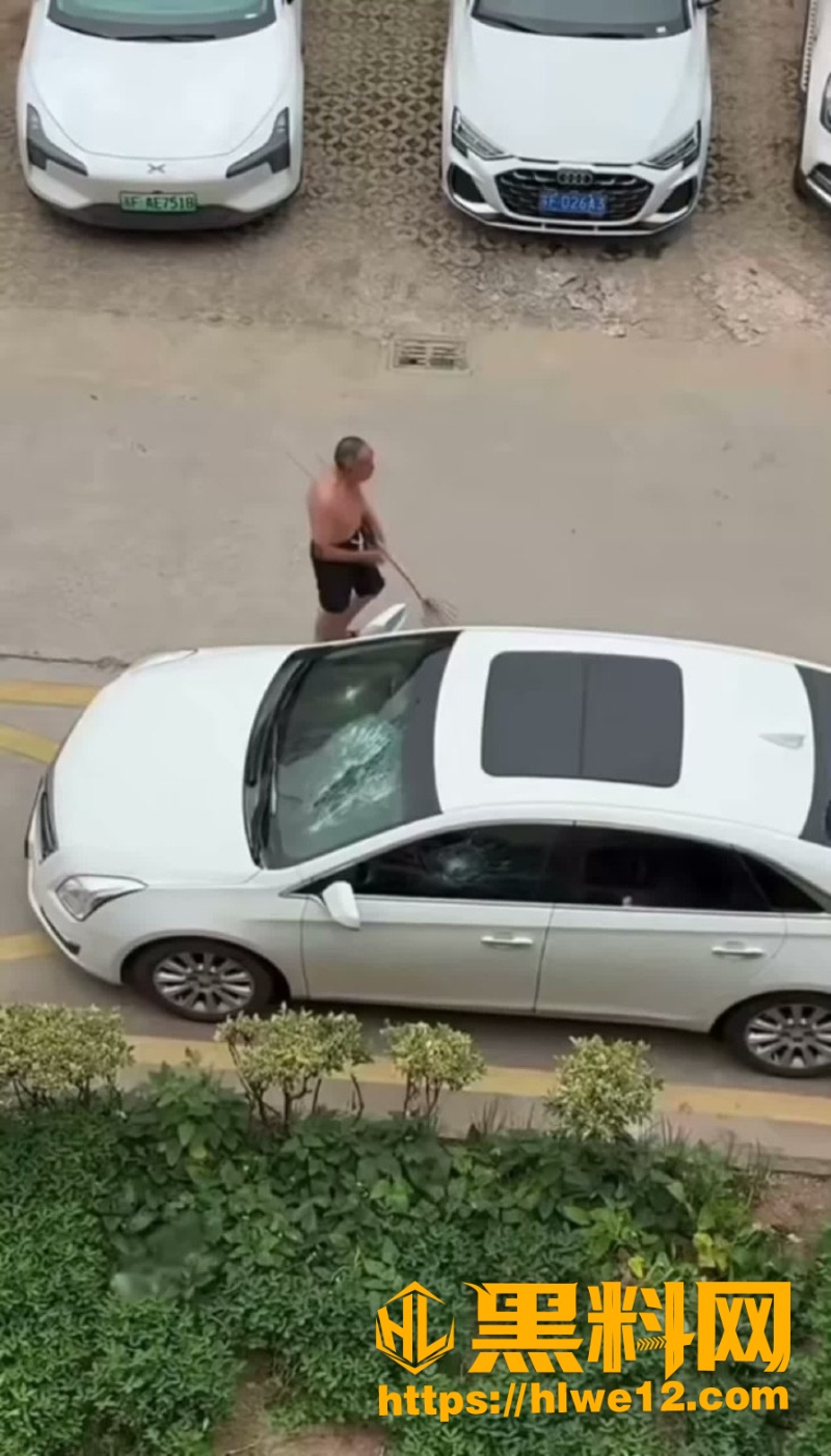 小区大爷砸车视频7