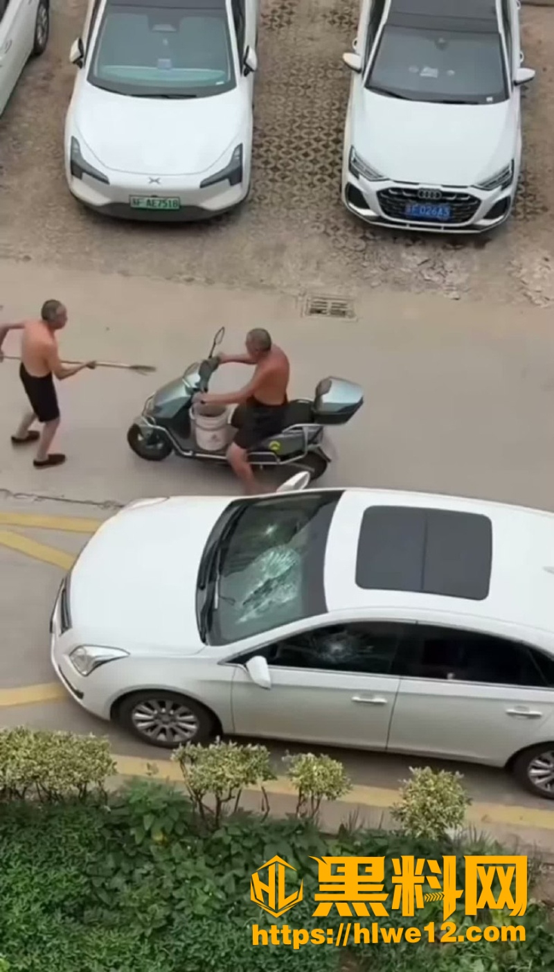 小区大爷砸车视频8