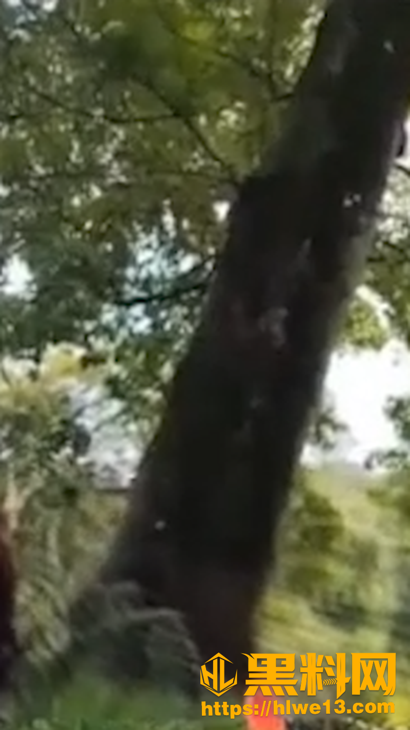 广西5
