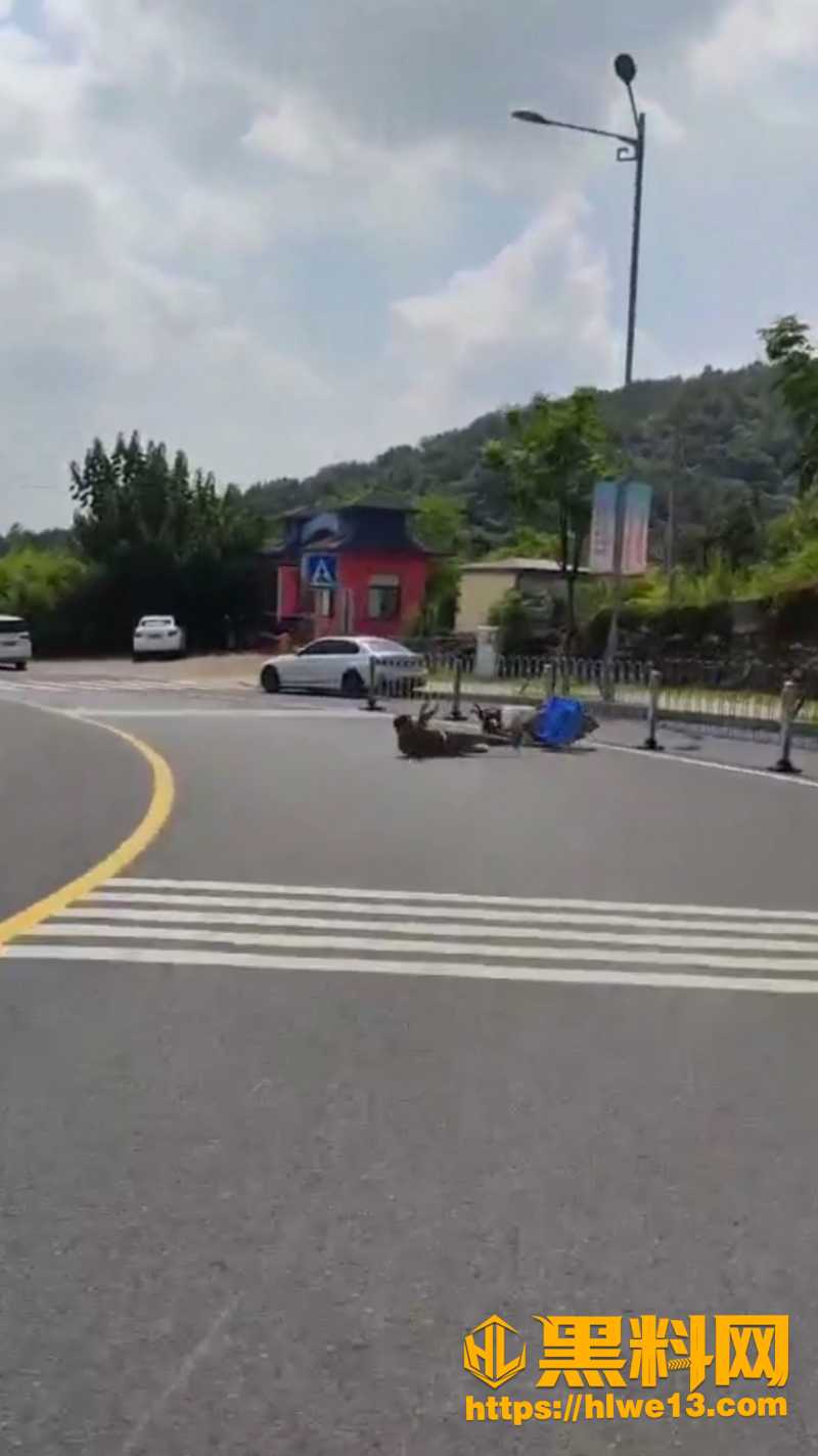 男子马路秀技翻车3