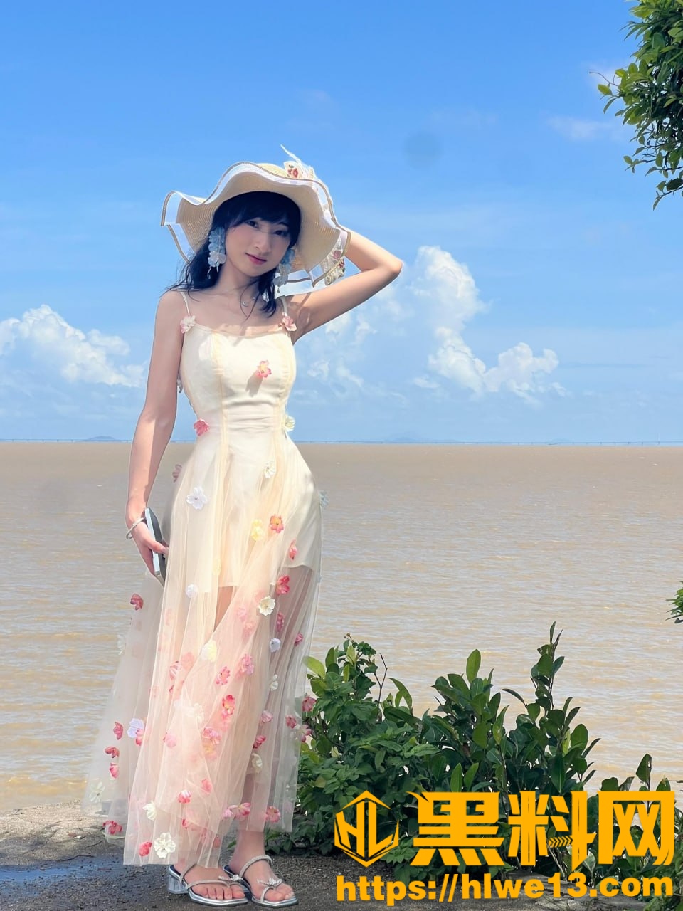 阿宇夫妇不雅视频10