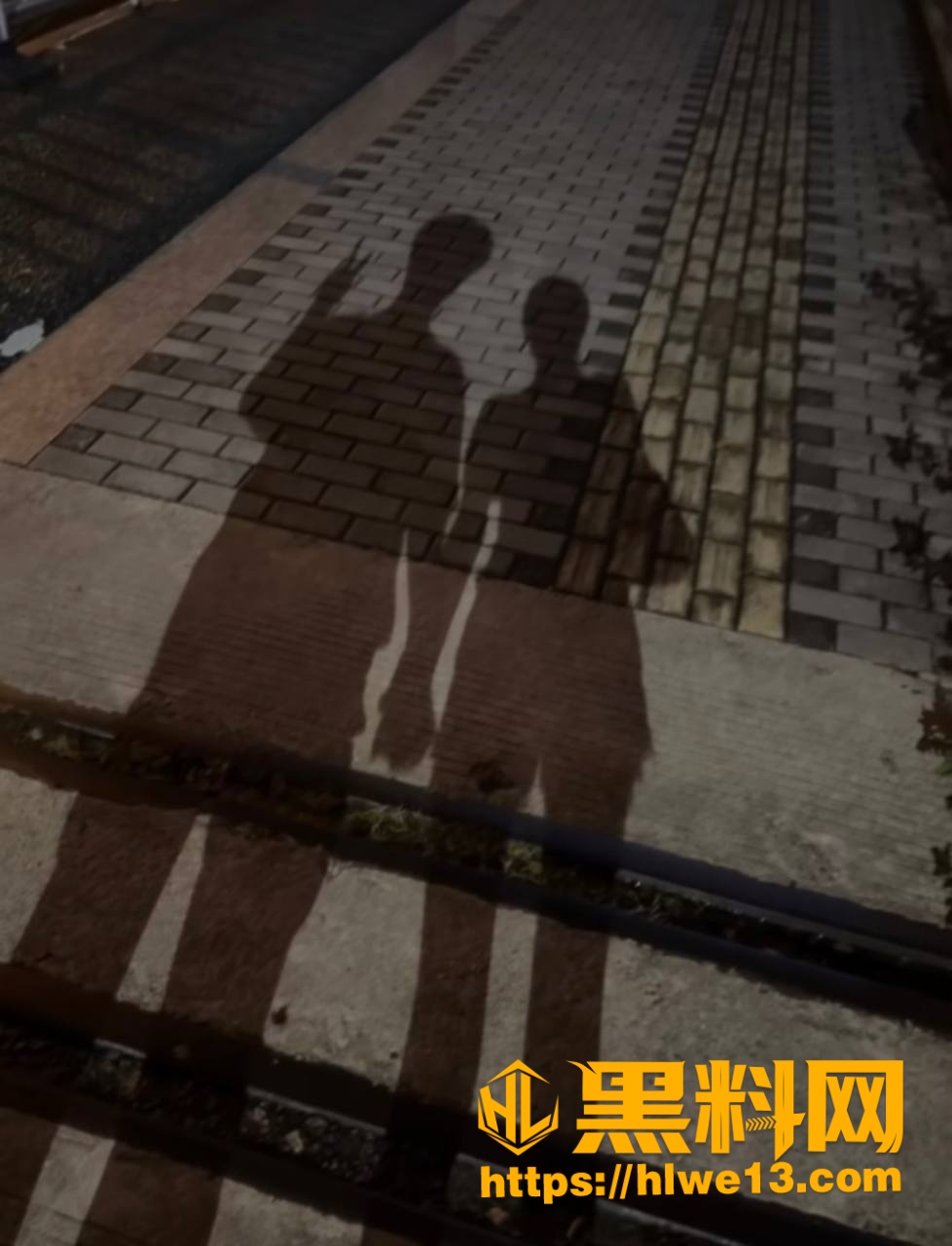 异国恋男友哭穷骗钱