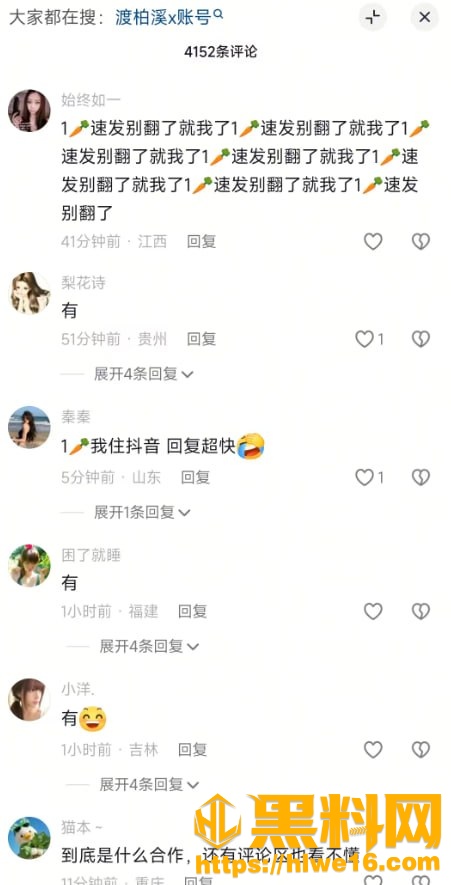 美国15