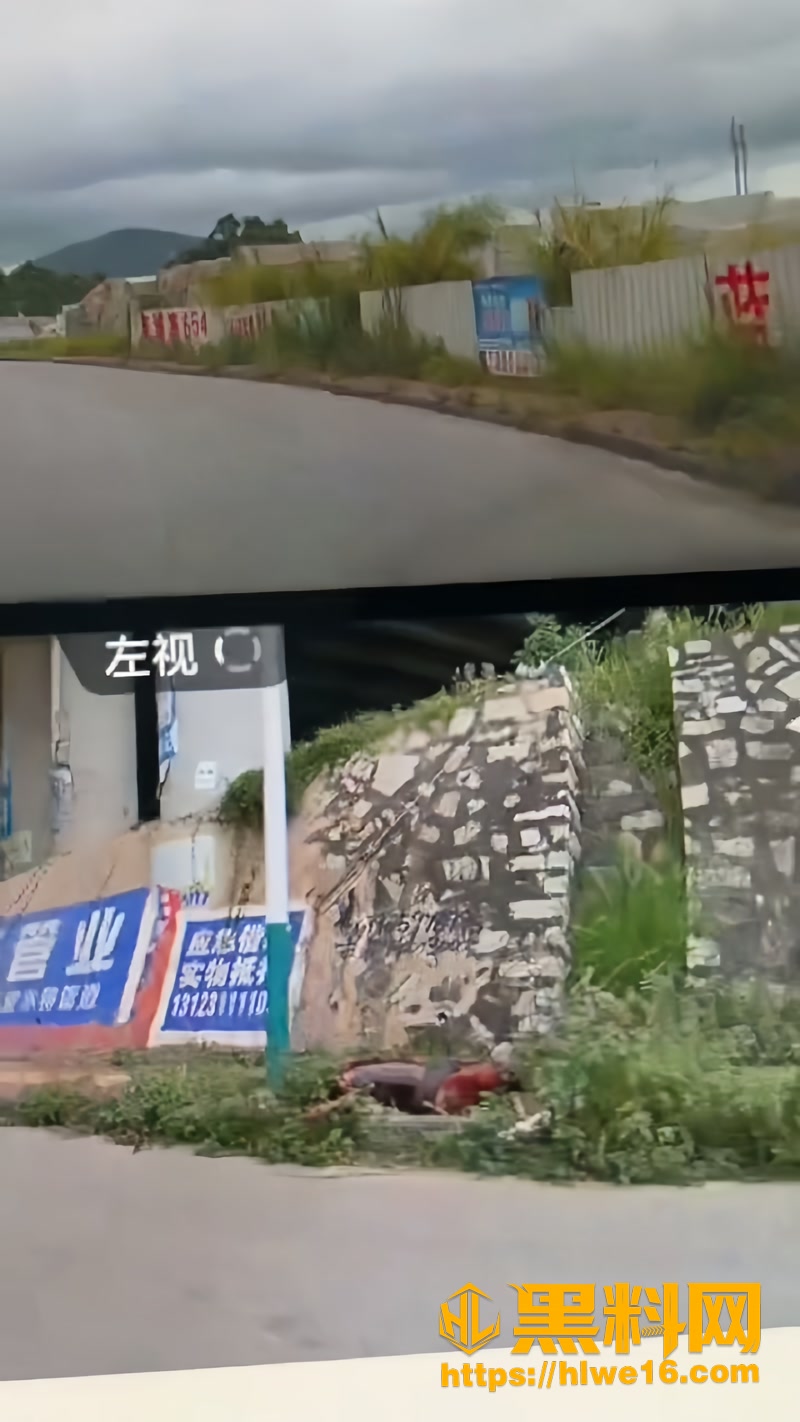 02台南新营路边分尸案调查1 2wm