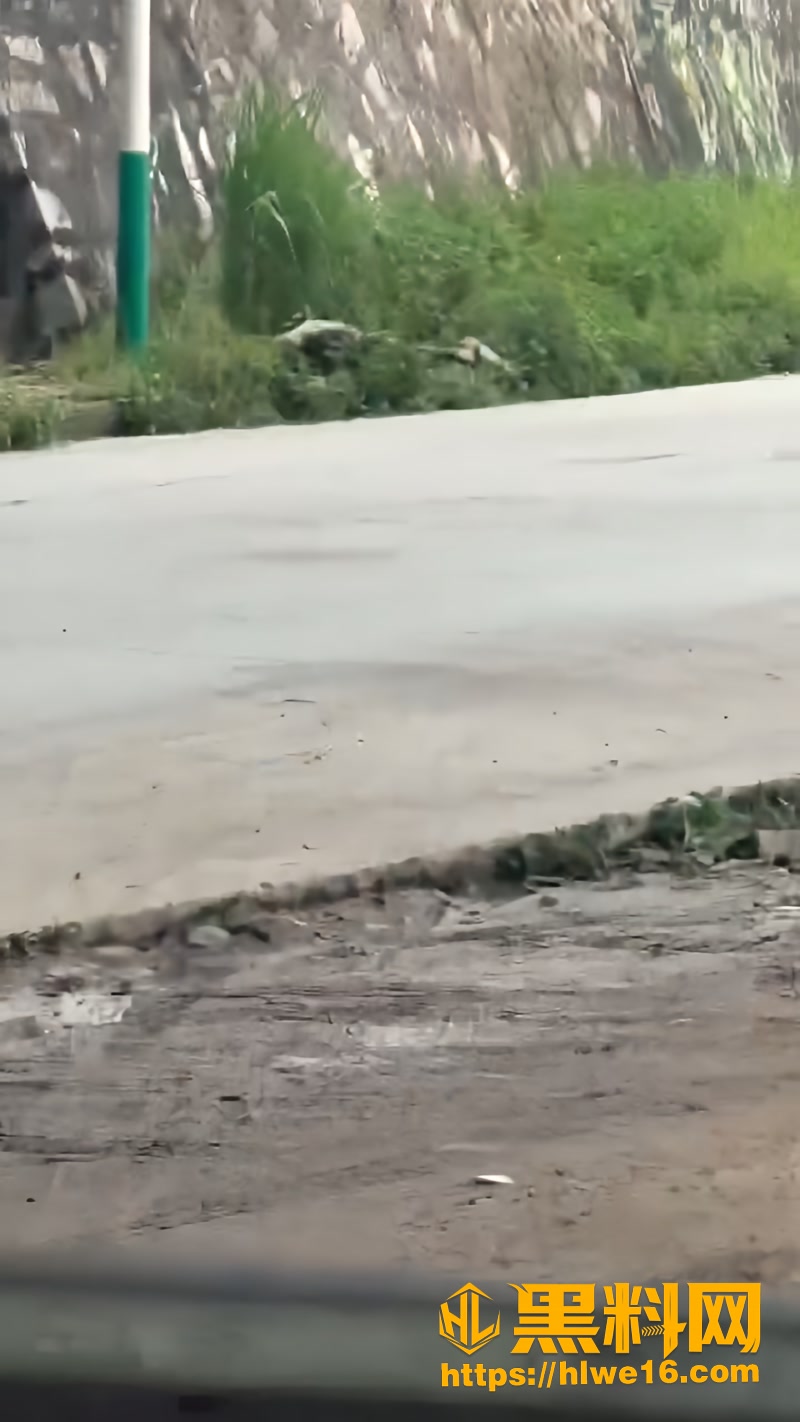 03新营路边发现遗体1 3wm