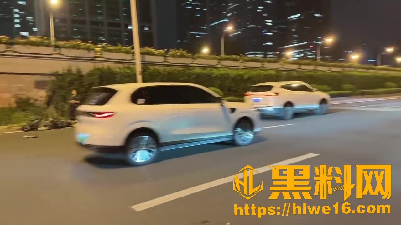 比亚迪女司机撞死情侣事件4