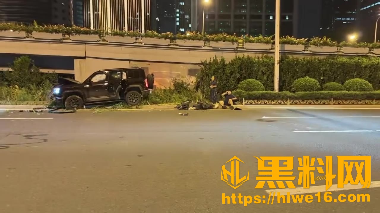 比亚迪女司机车祸事件5