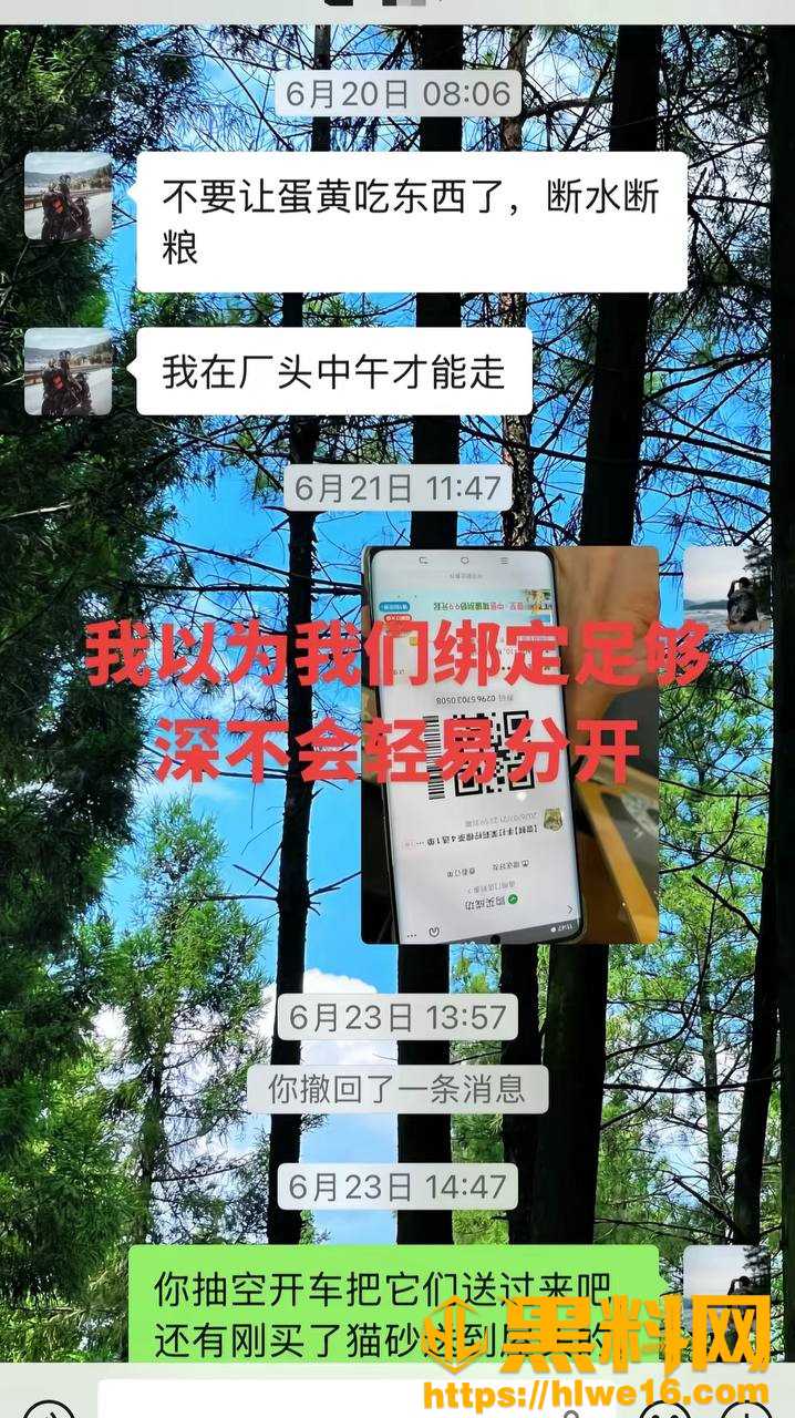 抖音丑的精致出轨事件27