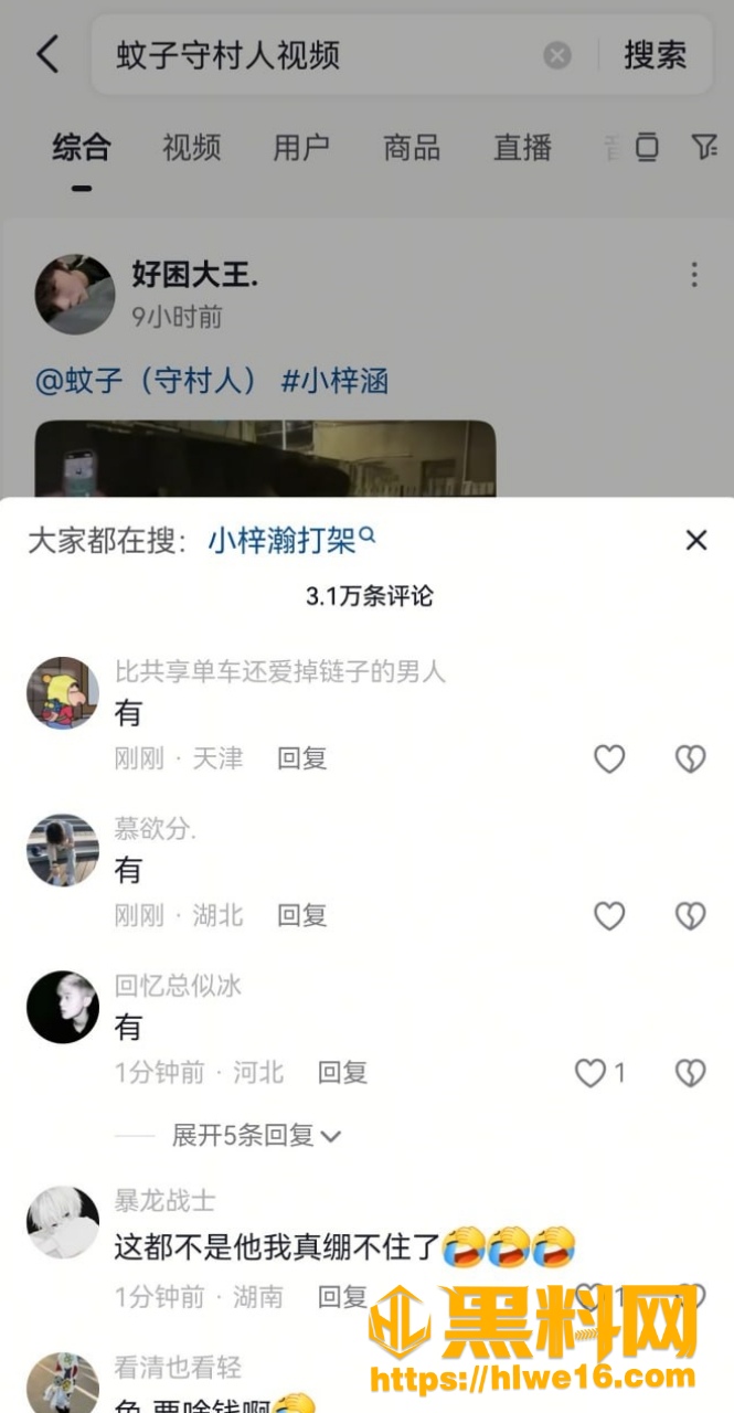 网红小梓瀚暴力事件