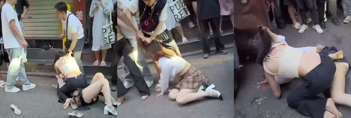 下载 55
