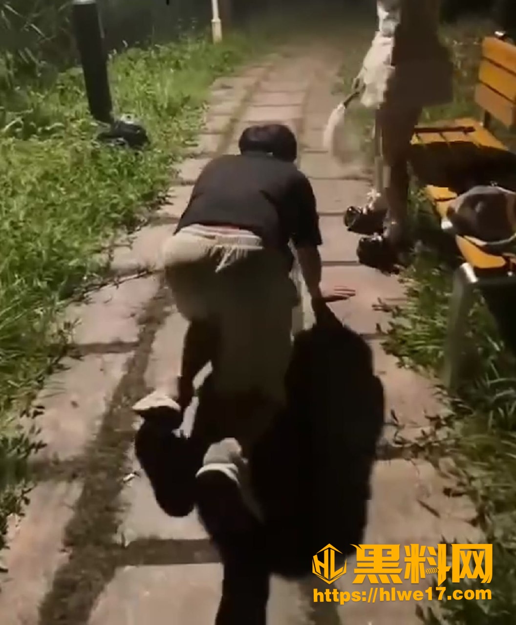 舔狗的日常
