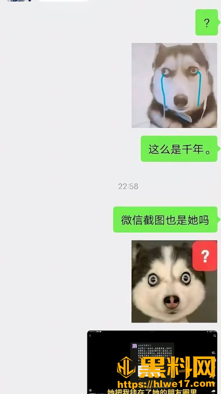 修雷子出轨事件11