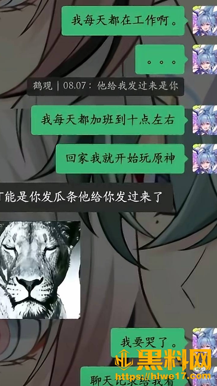 原神网红修雷子15