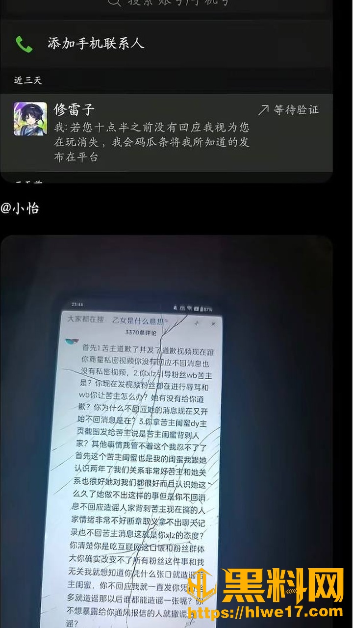 原神网红修雷子18
