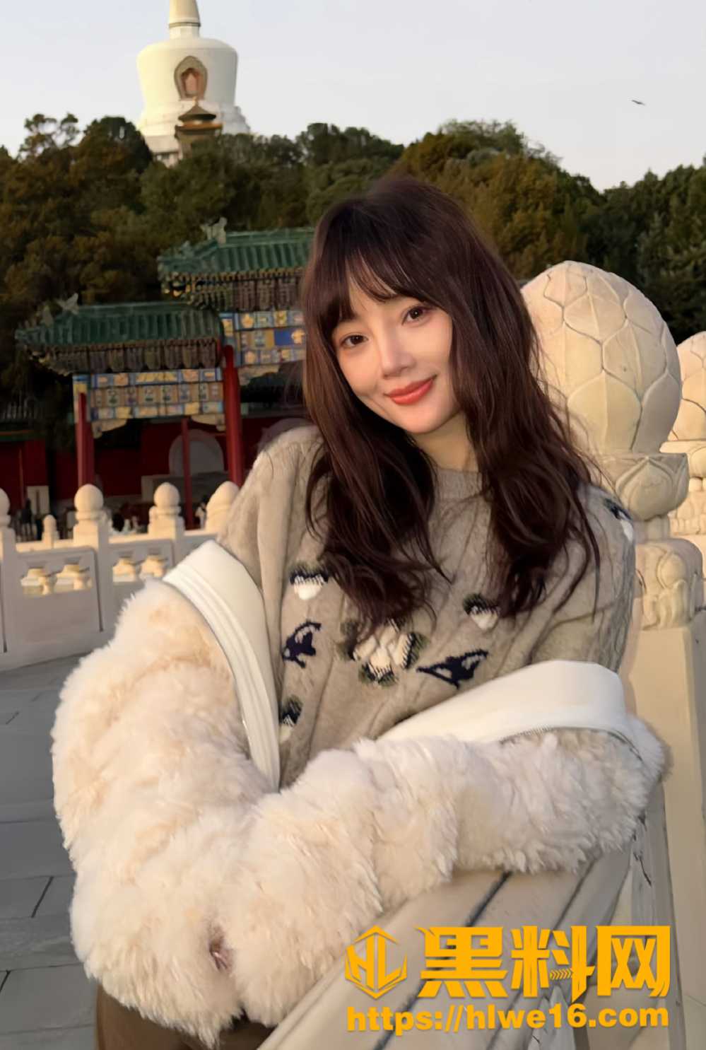内娱明星李小璐3