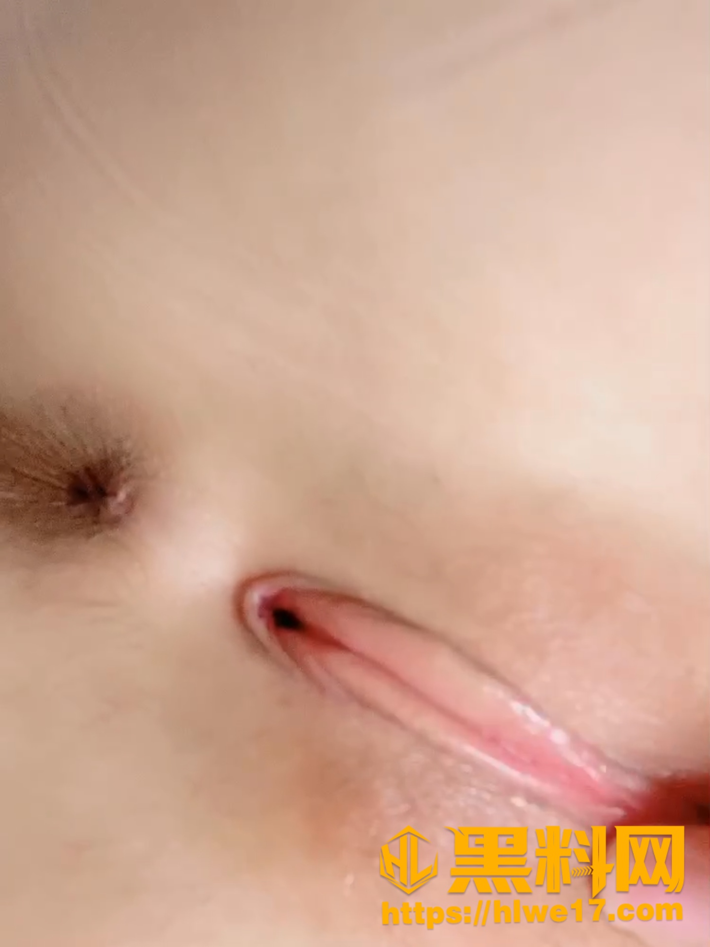 骚舞