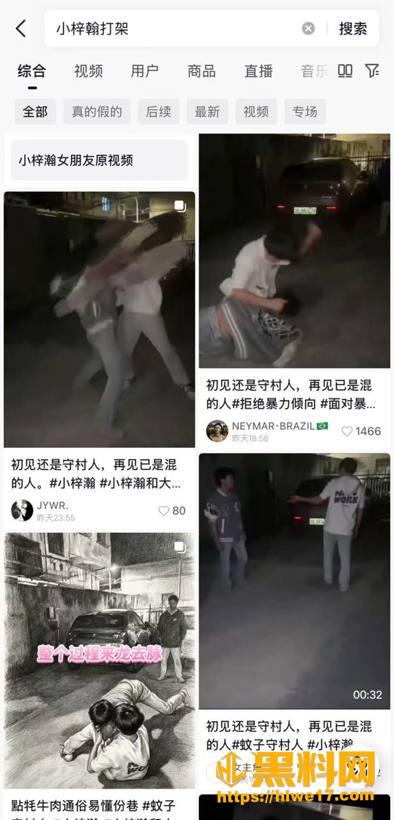 02抖音小梓瀚打架视频0 2wm